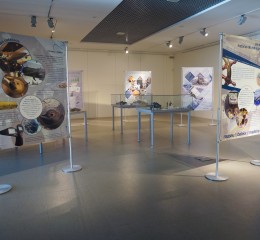 Museu da Baleia